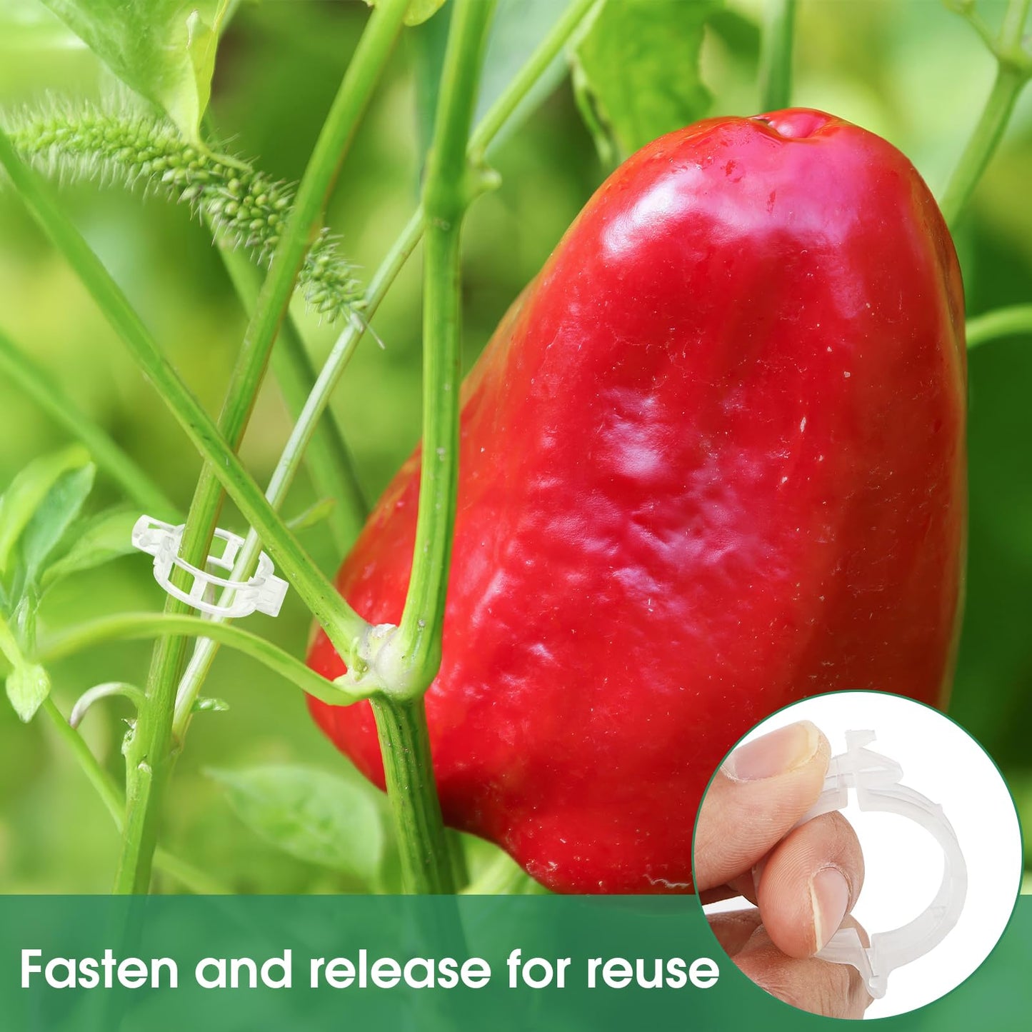 Tomato Clips. Plastic Trellis Clips