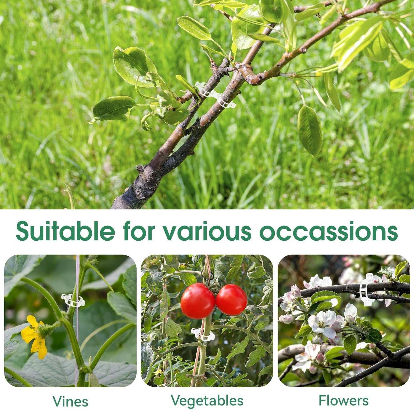 Tomato Clips. Plastic Trellis Clips