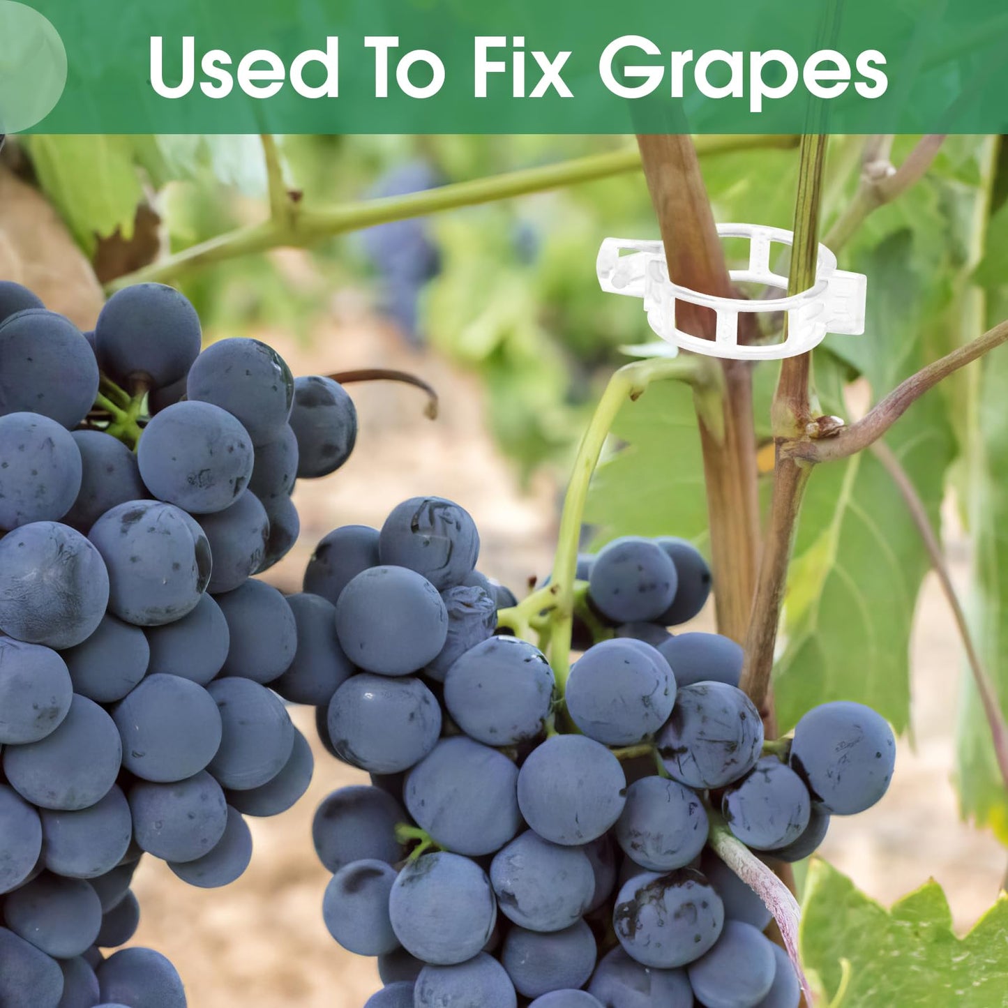 Tomato Clips. Plastic Trellis Clips